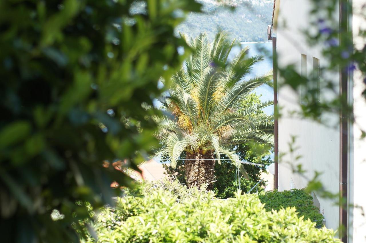 Oasis Blue Lejlighed Korčula Eksteriør billede